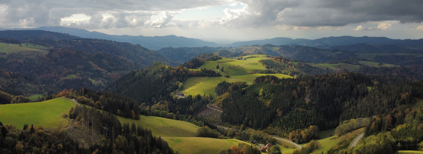 Homöopathie Aufbewahrung aus dem Schwarzwald von Faller kreativ 